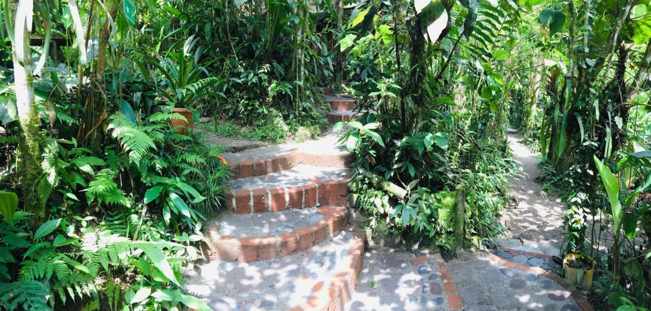 Cabanas Armonia Y Jardin De Orquideas Mindo Esterno foto