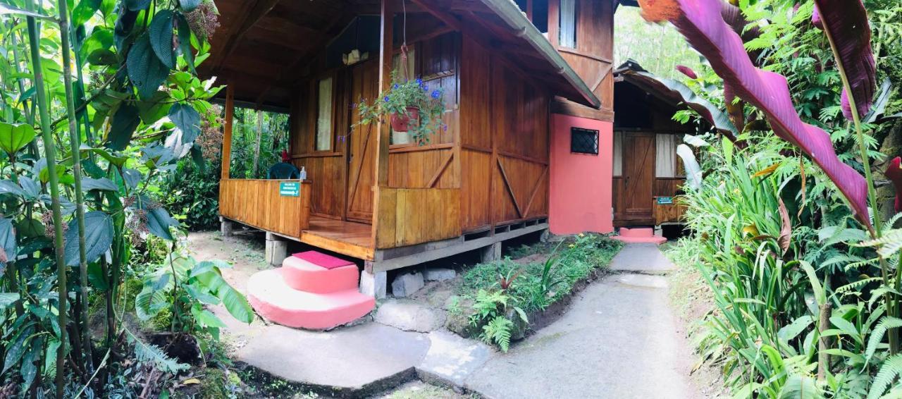 Cabanas Armonia Y Jardin De Orquideas Mindo Esterno foto