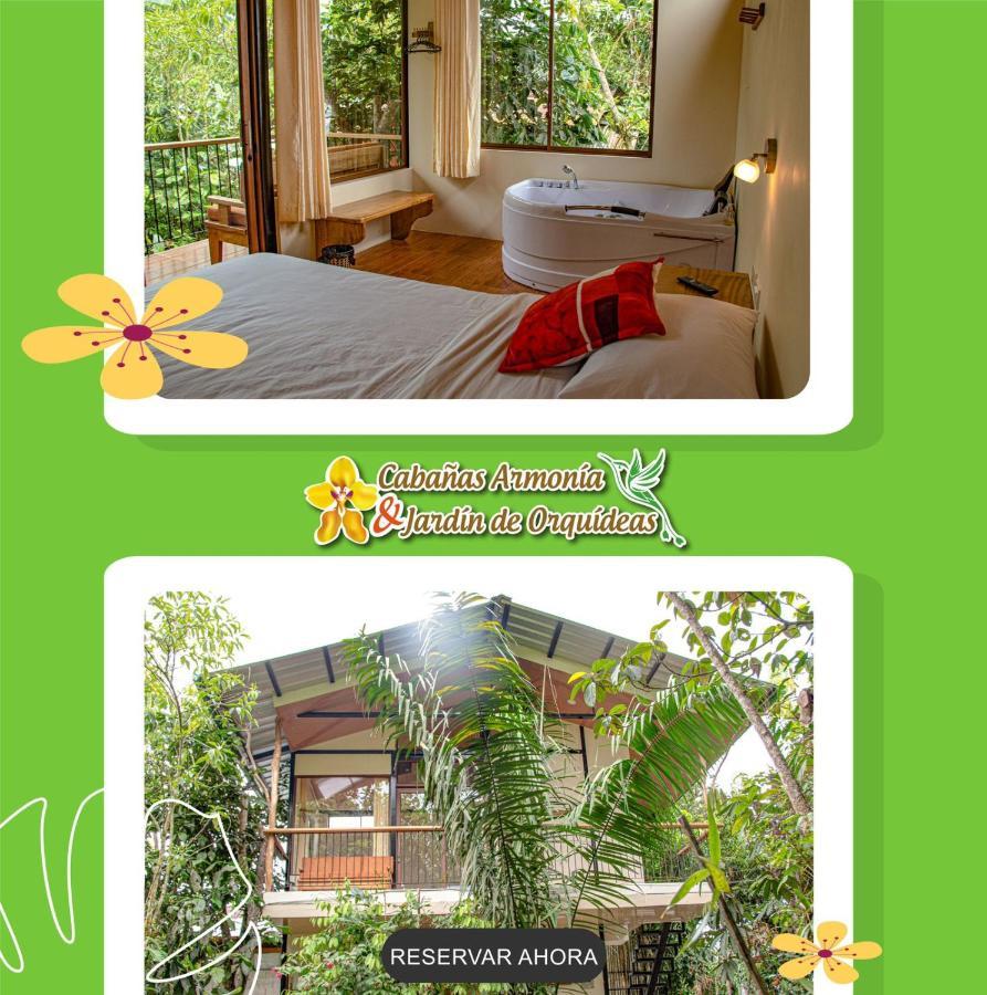 Cabanas Armonia Y Jardin De Orquideas Mindo Esterno foto