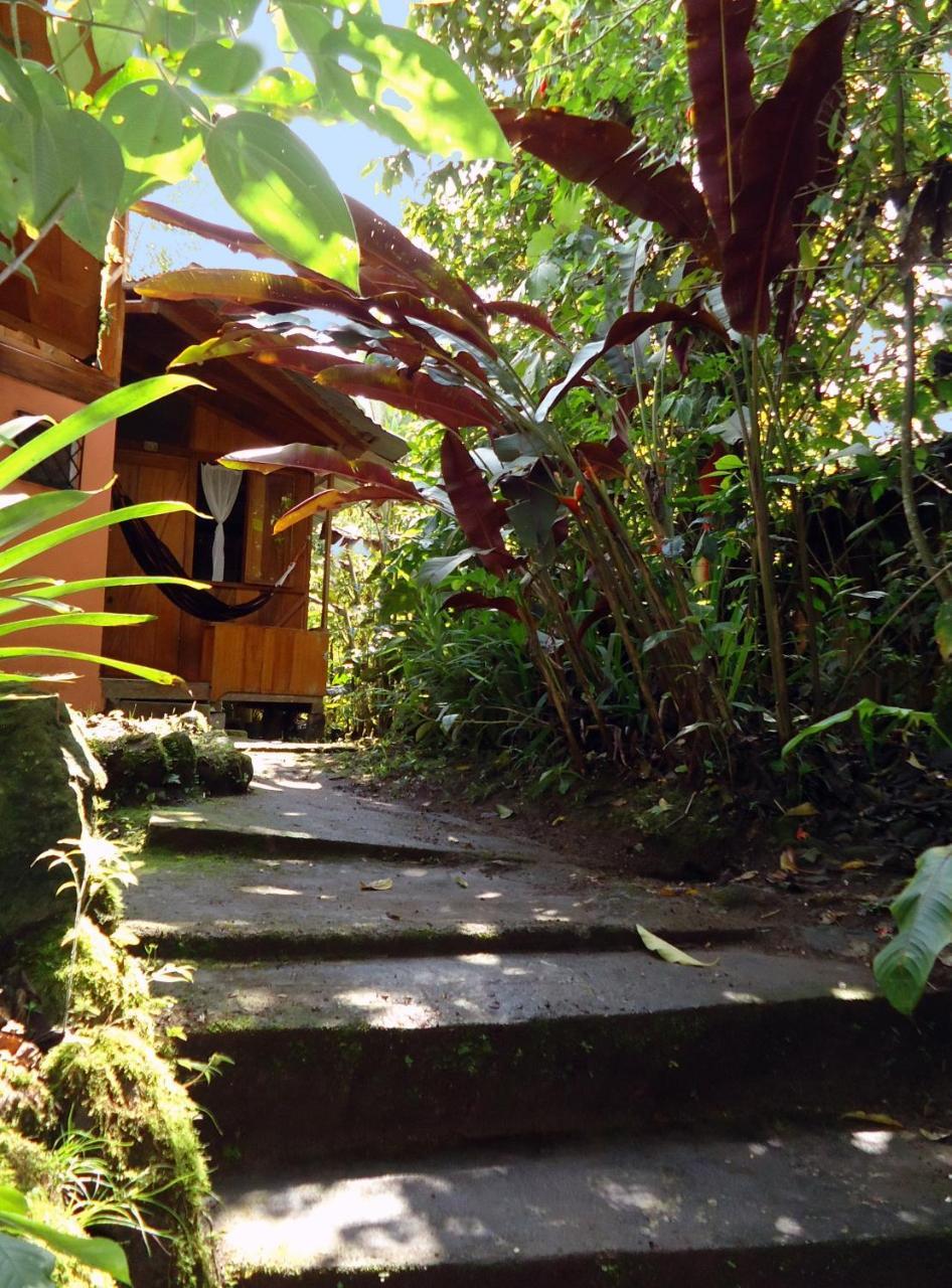 Cabanas Armonia Y Jardin De Orquideas Mindo Esterno foto